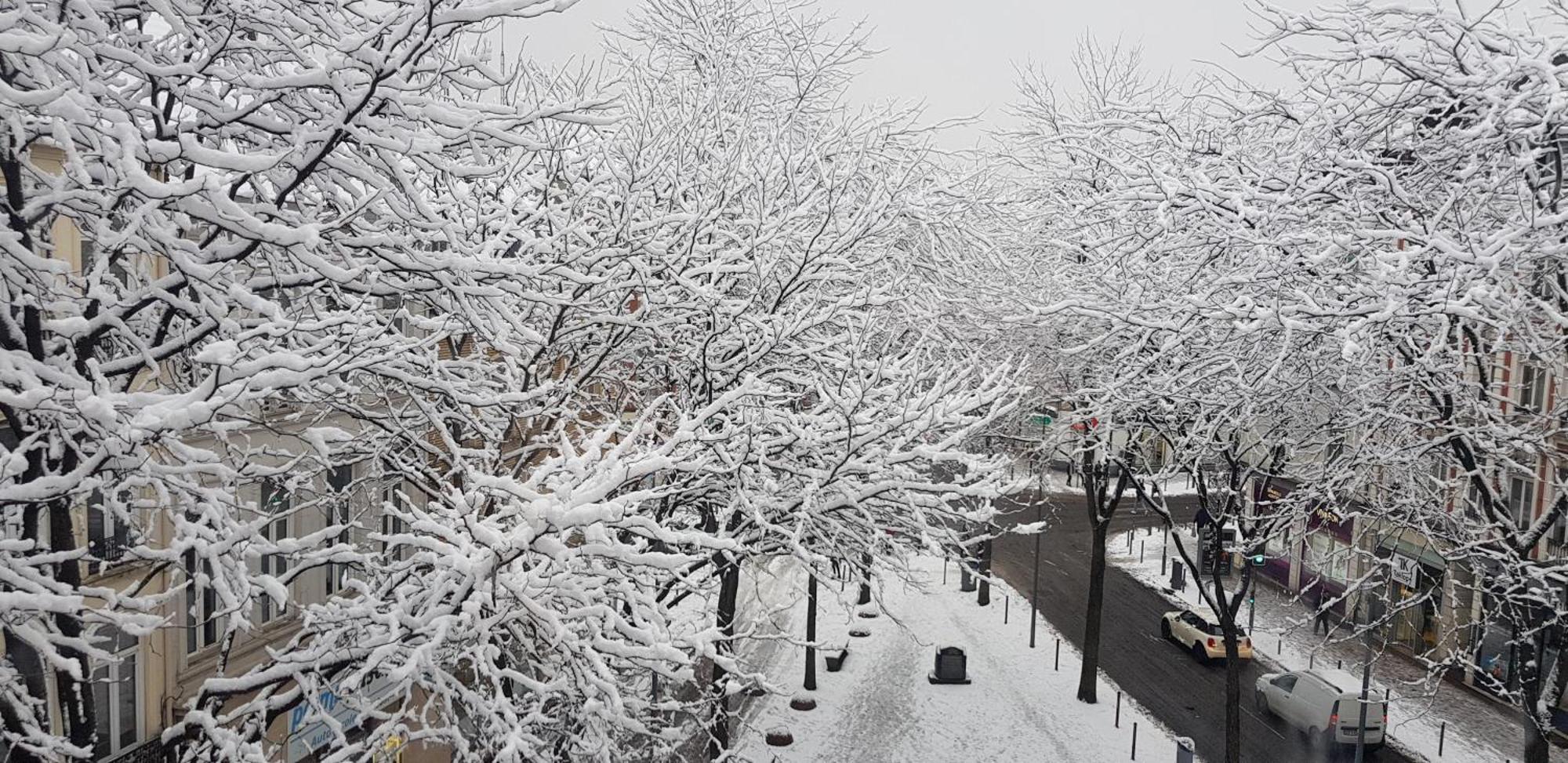 Exceptionnel Au Coeur De Lille Daire Dış mekan fotoğraf